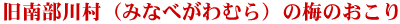 旧南部川村(みなべがわむら)の梅のおこり