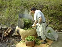 お茶を煎ってます