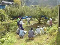 剪定講習会(学課講習)