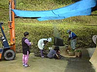 お茶の葉を煎っています