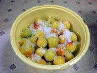 漬込みました(6月27日)