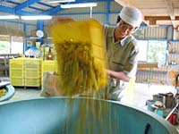 漬け込み作業