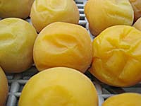 天日干し1日目