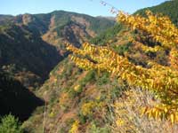 高野山の紅葉2
