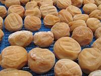 天日干し3日目