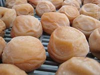 天日干し5日目