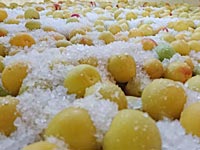 南高梅の塩漬け