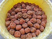 業務用南高白干し梅